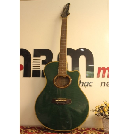 Đàn guitar điện Samick